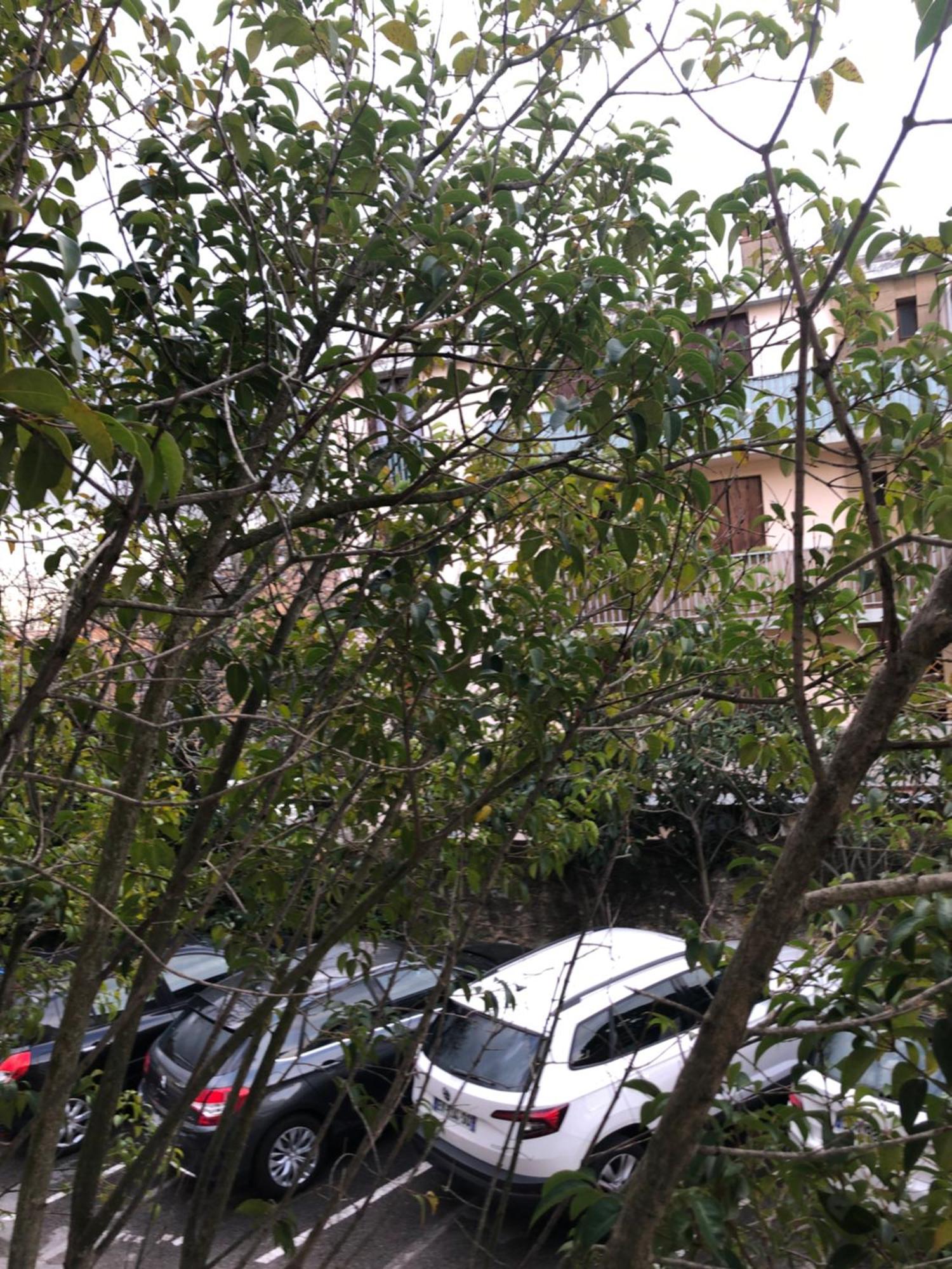 Logement Promenade De La Torse A เอ็ก-ซอง-โพรวองซ์ ภายนอก รูปภาพ